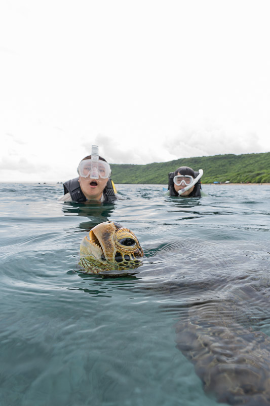 宮古島ウミガメツアーフォトギャラリー|感動の瞬間をあなたの記憶と記録に。 12 宮古島で高確率で会えるウミガメシュノーケリングツアー
