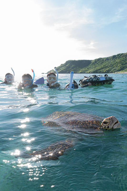 宮古島ウミガメツアーフォトギャラリー|感動の瞬間をあなたの記憶と記録に。 14 宮古島の朝陽に照らされるウミガメとお客様をプロカメラマンが撮影します