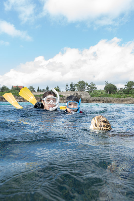 宮古島ウミガメツアーフォトギャラリー|感動の瞬間をあなたの記憶と記録に。 4 宮古島の青い海から顔を出すウミガメのウミガメの瞳に惹き込まれます