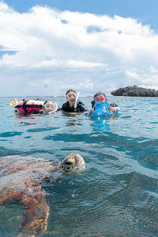 宮古島ウミガメツアーフォトギャラリー|感動の瞬間をあなたの記憶と記録に。 5 宮古島の海で小さなお子様も思いきり楽しめるシュノーケリングツアー