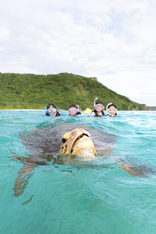 宮古島ウミガメツアーフォトギャラリー|感動の瞬間をあなたの記憶と記録に。 7 宮古島の美しい海で家族揃ってウミガメシュノーケリングツアー