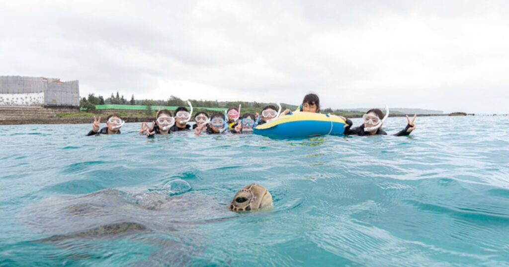 miyakojima-sea-turtle-snorkeling