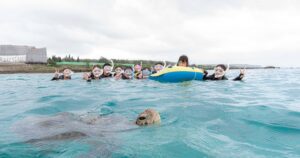 4月の宮古島は泳げる?【服装・気温・風向き】などを現地ガイドが解説! 1 miyakojima sea turtle snorkeling