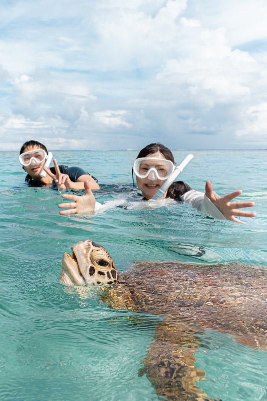 宮古島シュノーケリングツアーで感動体験 1 miyakojima sea turtle snorkeling 4
