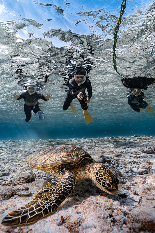 宮古島ウミガメツアーフォトギャラリー|感動の瞬間をあなたの記憶と記録に。 16 miyakojima seaturtle snorkeling18