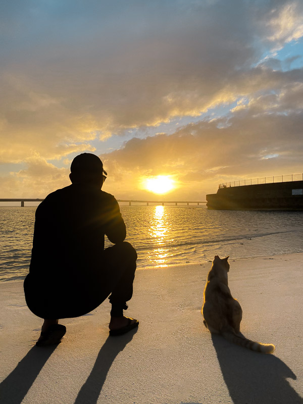 umigamegasukiのアバター