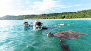 宮古島でウミガメ遭遇率が高い時間帯に撮影したシュノーケリングの様子