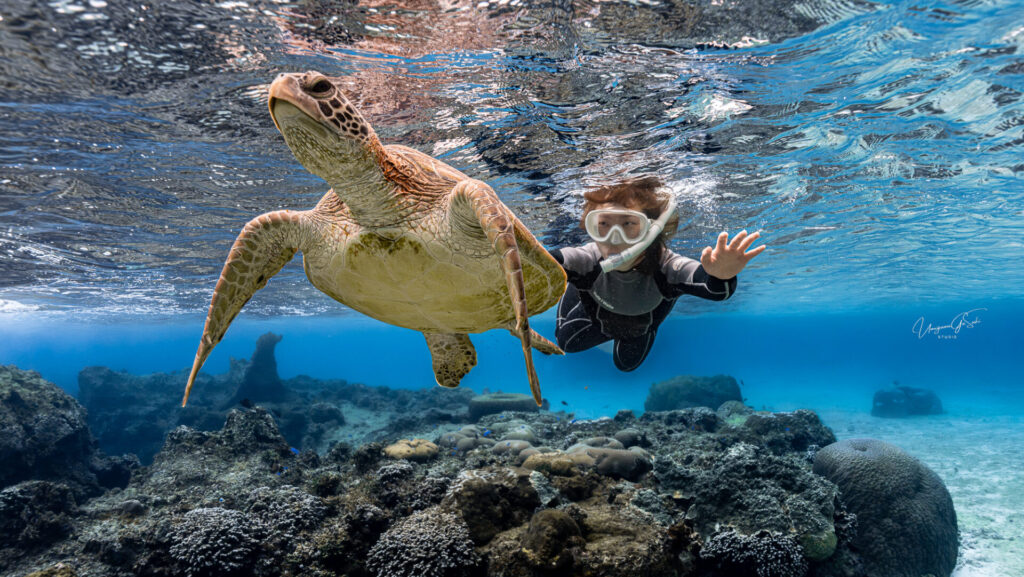 宮古島シュノーケリングツアーで感動体験 6 4月の宮古島の透き通る海でシュノーケリングを楽しむお客様とウミガメ