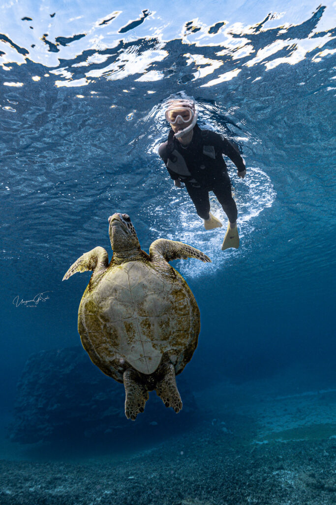 miyakojima-snorkeling-umigamegasuki03